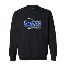 Lone Jack 2023 Volleyball Crewneck Sweatshirt (Black)